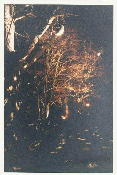 03.jpg